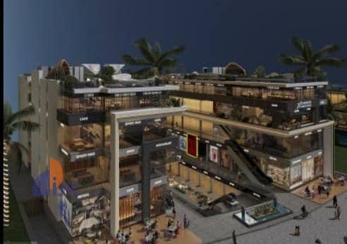 IMG_٢٠٢٥١٠١١_١٦٢٥٣٦. jpg IMG_٢٠٢٥١٠١١_١٦٢٥٣٦. jpg