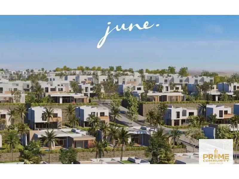 9 Untitled design (3). jpg