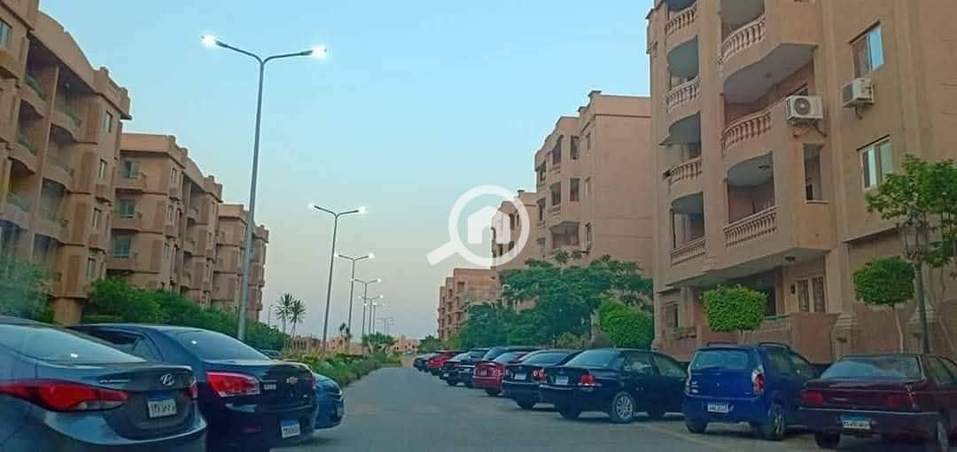 5 WhatsApp Image 2025-10-11 at 14.24. 36_d407f4e1. jpg