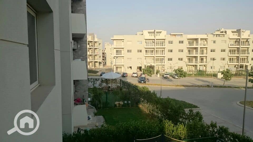 6 DSC_0026_resized_20170424_012950063. JPG