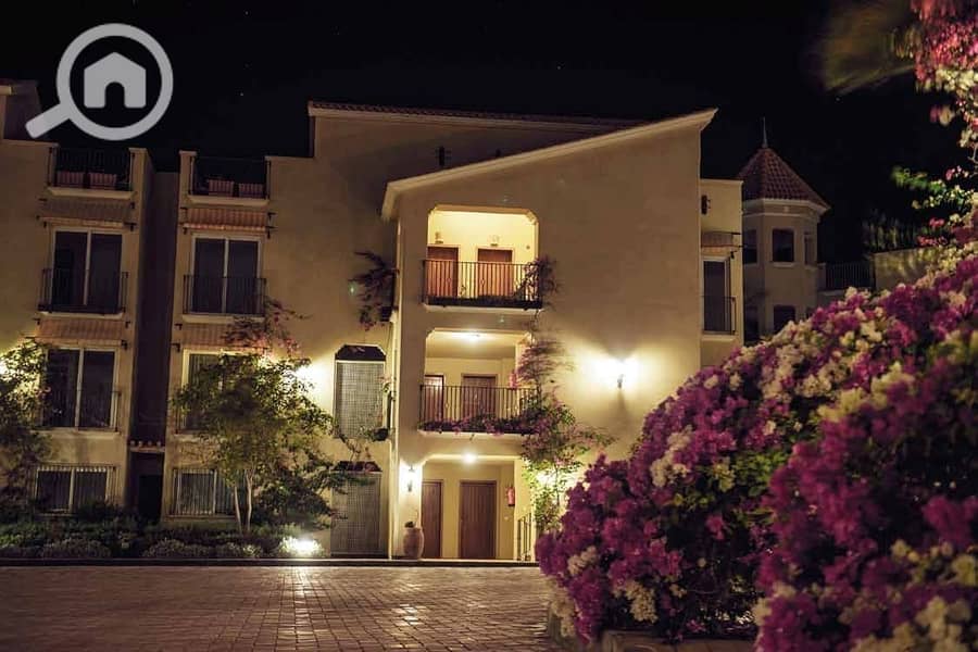 IMG_0478. jpeg IMG_0478. jpeg