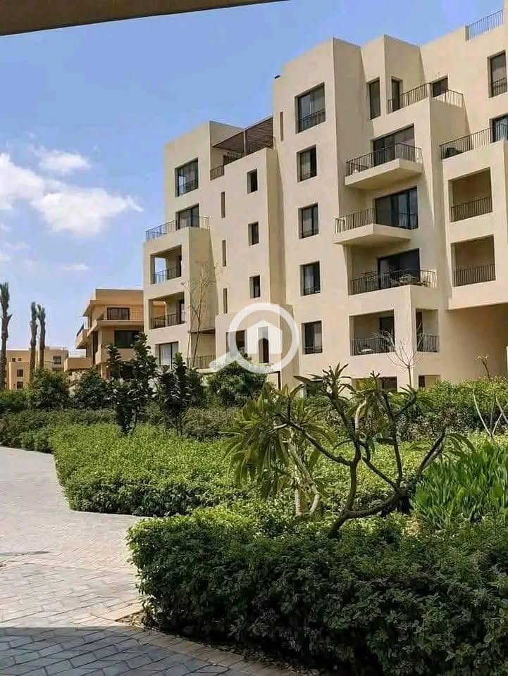 7 525173951_122125750196902727_7909966604195180655_n. jpg