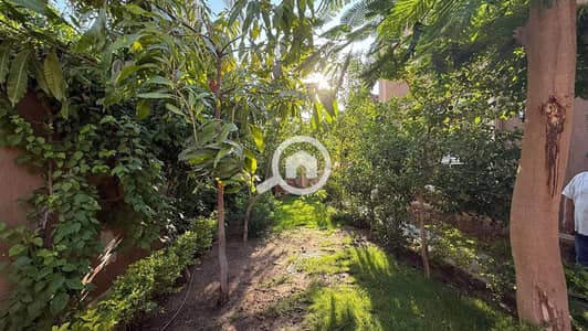 فیلا 8 غرف نوم للبيع في القاهرة الجديدة، القاهرة - IMG-20251005-WA0120. jpg فیلا 8 غرف نوم للبيع في القاهرة الجديدة، القاهرة - IMG-20251005-WA0120. jpg