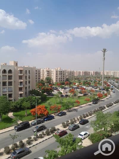 3 Bedroom Apartment for Rent in New Cairo, Cairo - WhatsApp Image 2025-10-11 at 9.21. 09 PM. jpeg