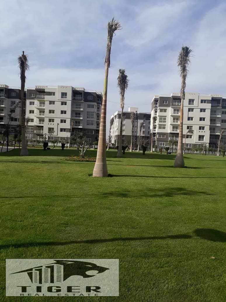 6 WhatsApp Image 2025-05-04 at 3.52. 24 PM. jpeg