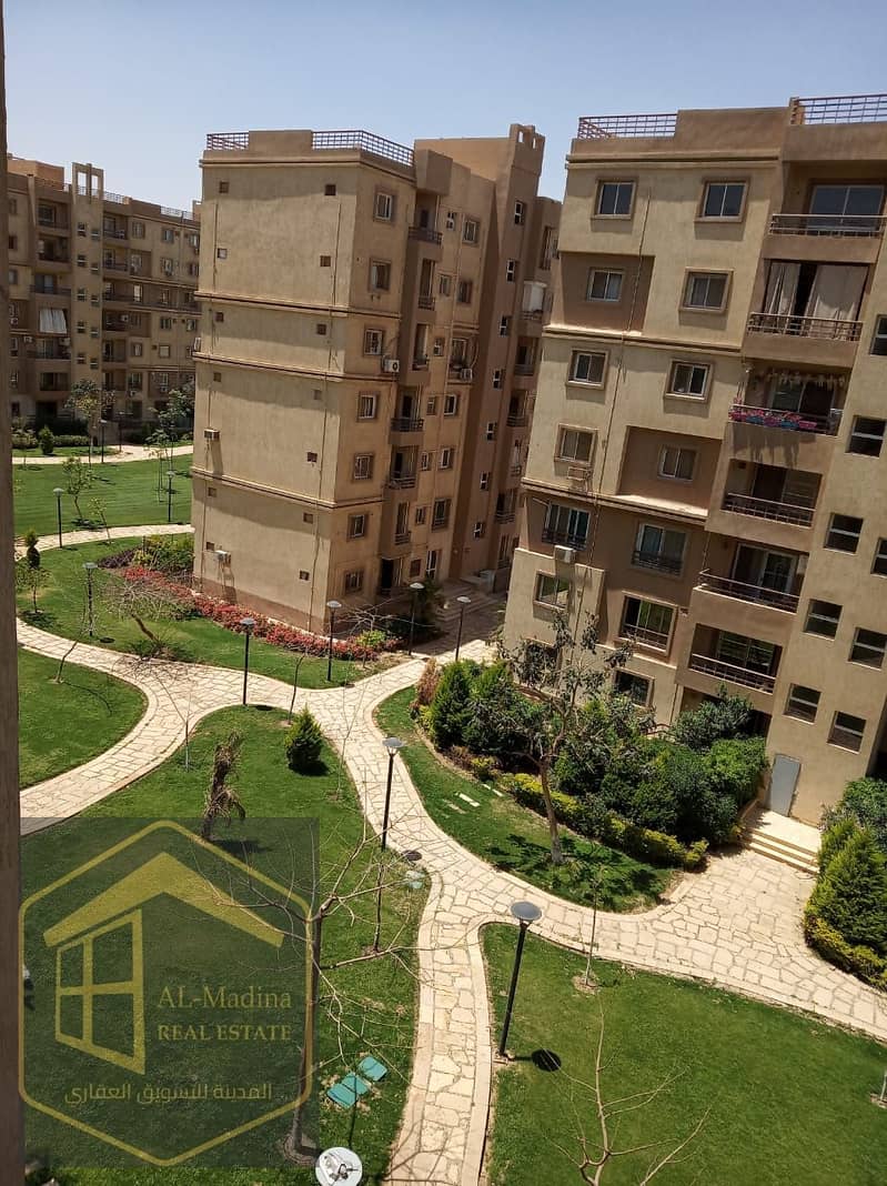 1000120381. jpg 1000120381. jpg