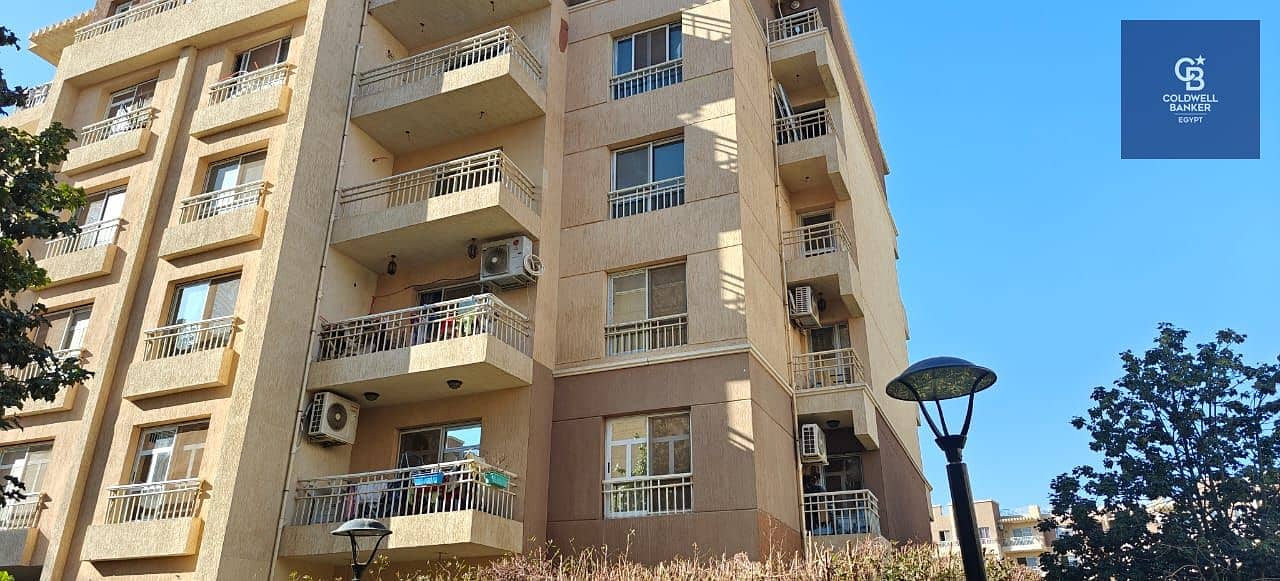 3 WhatsApp Image 2025-10-05 at 20.47. 30_53ba04c9. jpg