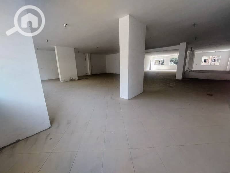 5 photo_2025-10-12_01-18-01. jpg