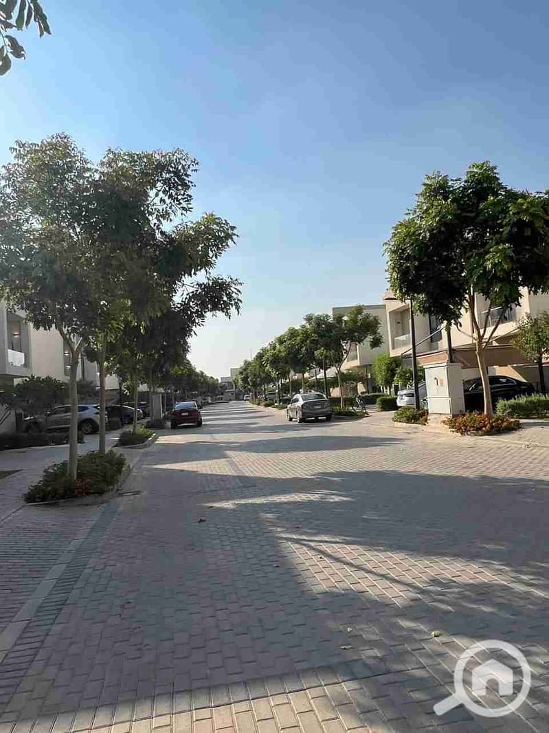 4 1000647880. jpg