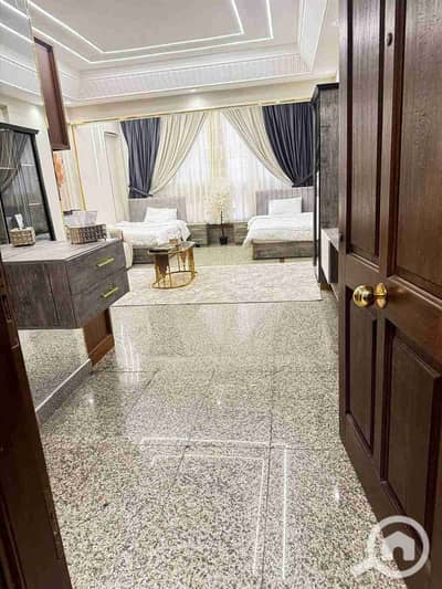 3 Bedroom Flat for Rent in Zamalek, Cairo - 1000210783. jpg