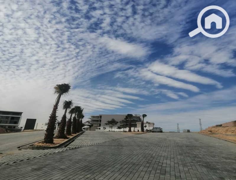 8 dcbe780d-4699-4b76-b24f-29ec479eeeee. jpg