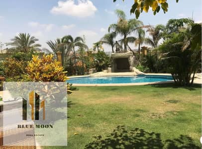 1 Bedroom Flat for Rent in New Cairo, Cairo - WhatsApp Image 2025-09-20 at 11.39. 00 AM. jpeg