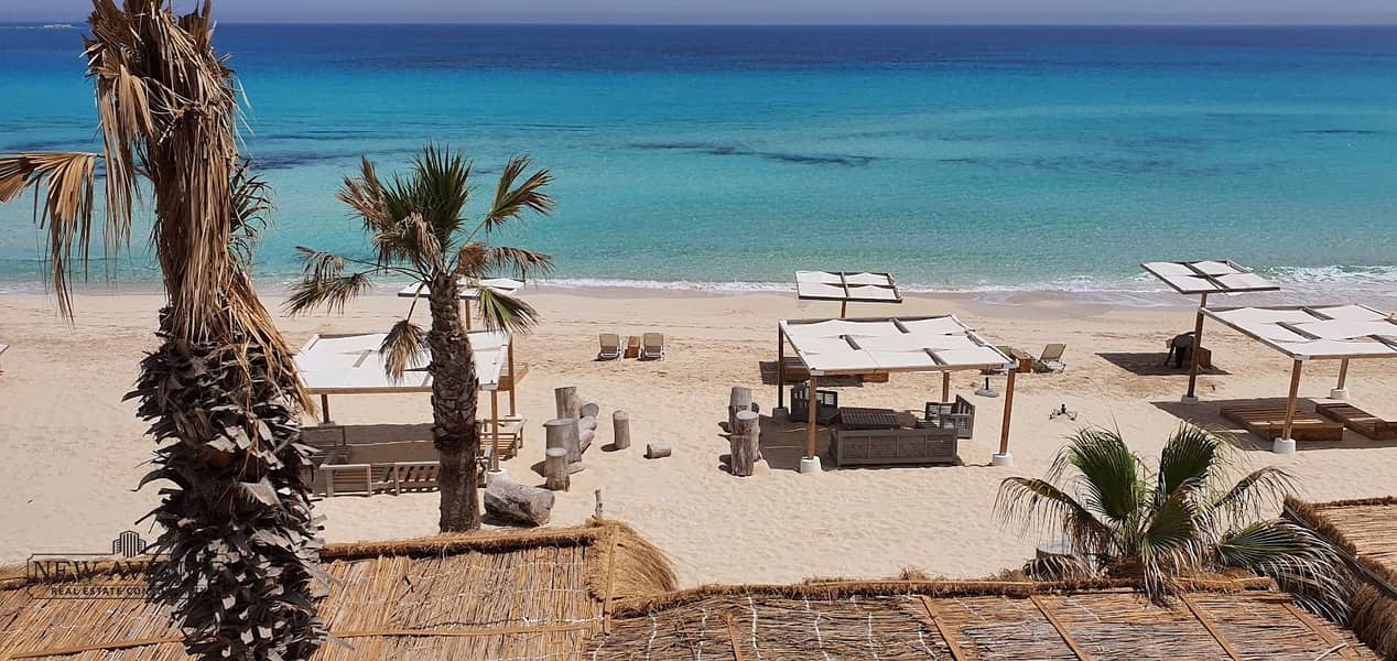 5 WhatsApp Image 2025-10-12 at 12.16. 27 PM. jpeg