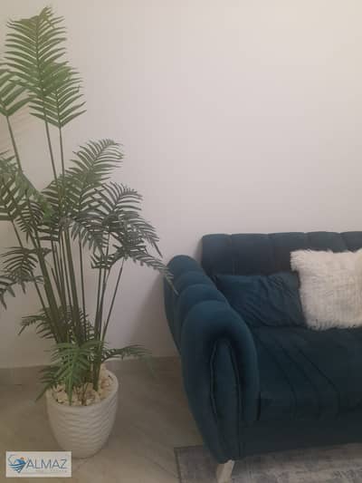 2 Bedroom Apartment for Rent in New Cairo, Cairo - WhatsApp Image 2025-10-12 at 11.01. 26 AM (1). jpeg