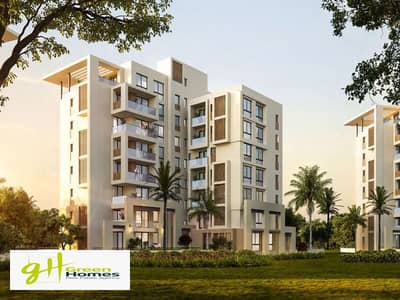 2 Bedroom Flat for Sale in New Cairo, Cairo - WhatsApp Image 2024-11-03 at 2.18. 23 PM. jpeg 2 Bedroom Flat for Sale in New Cairo, Cairo - WhatsApp Image 2024-11-03 at 2.18. 23 PM. jpeg