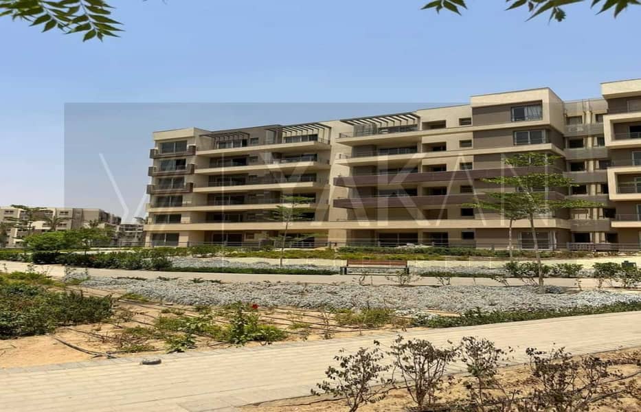 5 WhatsApp Image 2024-09-17 at 3.07. 40 PM (3). jpeg