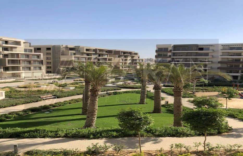 10 WhatsApp Image 2024-11-21 at 11.03. 00 AM. jpeg