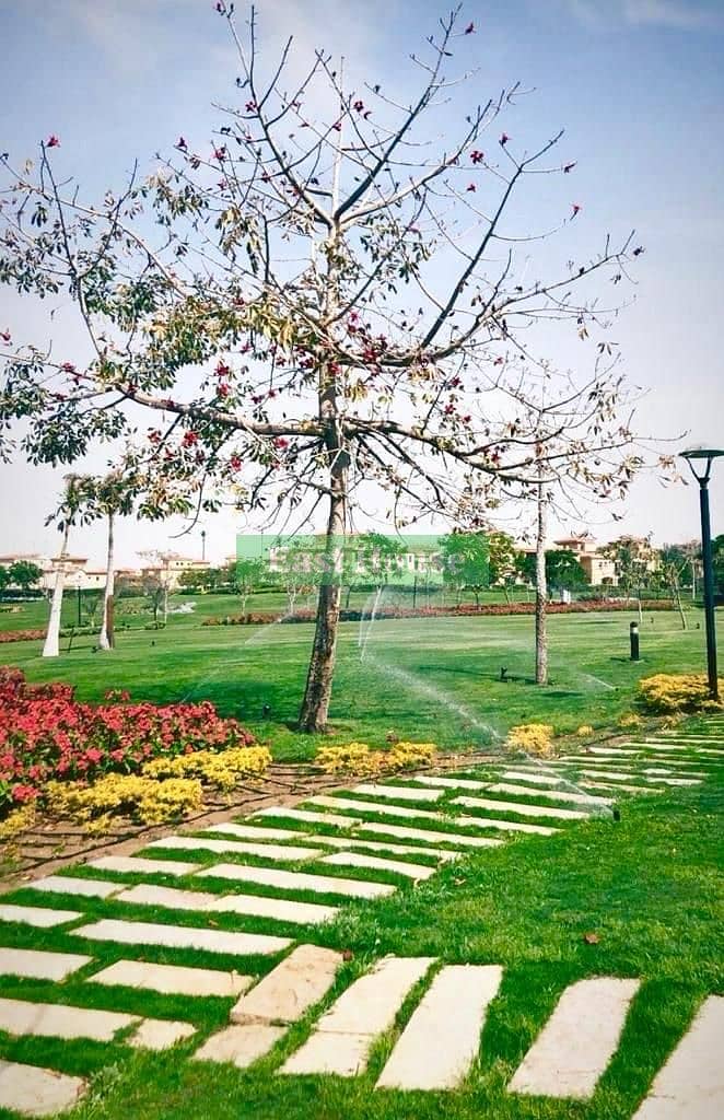 7 WhatsApp Image 2025-10-11 at 10.51. 40 AM. jpeg