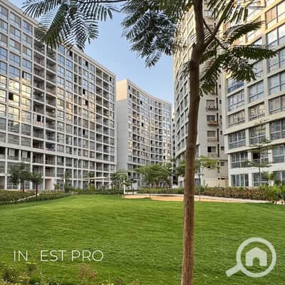 مکتب  للايجار في القطامية، القاهرة - وان قطاميه                                            1. jpg