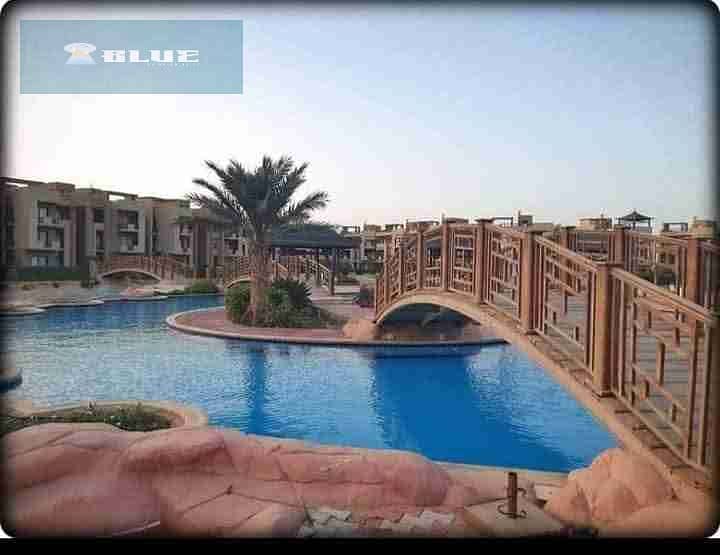 1003932722. jpg 1003932722. jpg