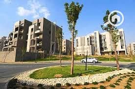 12 WhatsApp Image 2025-08-14 at 18.50. 45_5a0280d2. jpg