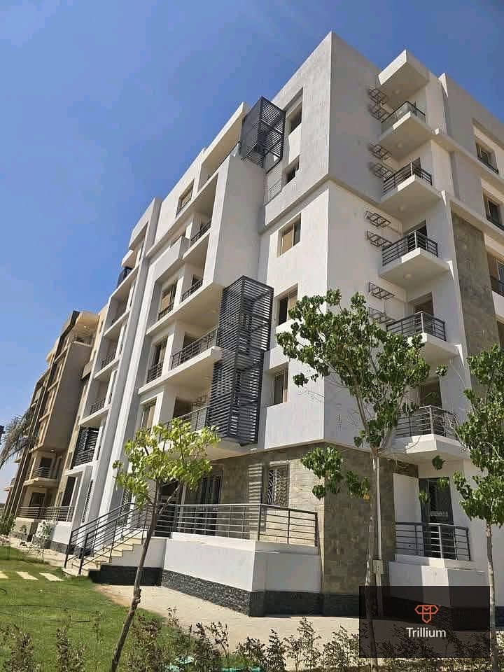 3 WhatsApp Image 2025-10-08 at 11.27. 48_6f96b298. jpg