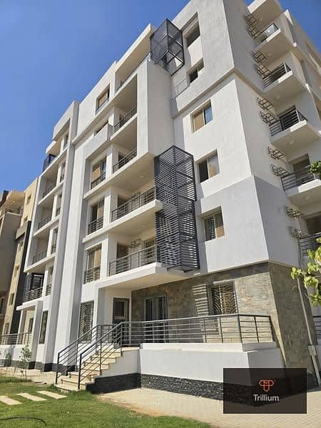 7 560567773_2064518891040471_1750792227022501452_n. jpg