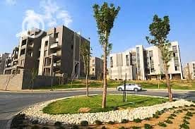 2 WhatsApp Image 2025-08-14 at 18.50. 45_5a0280d2. jpg