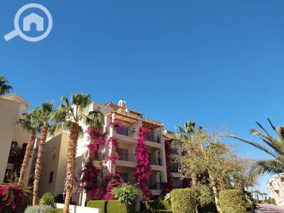 2 Bedroom Chalet for Sale in Sahl Hasheesh, Red Sea - 20240130_143537. jpg
