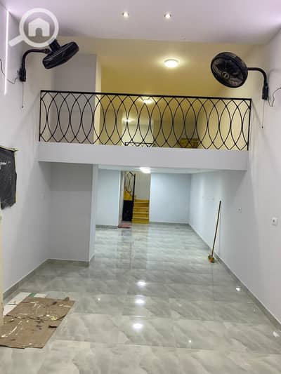 Retail for Rent in Bolkly, Alexandria - 6697ae1b-5799-4a0d-aa9c-f152e7f6d7ff. jpg
