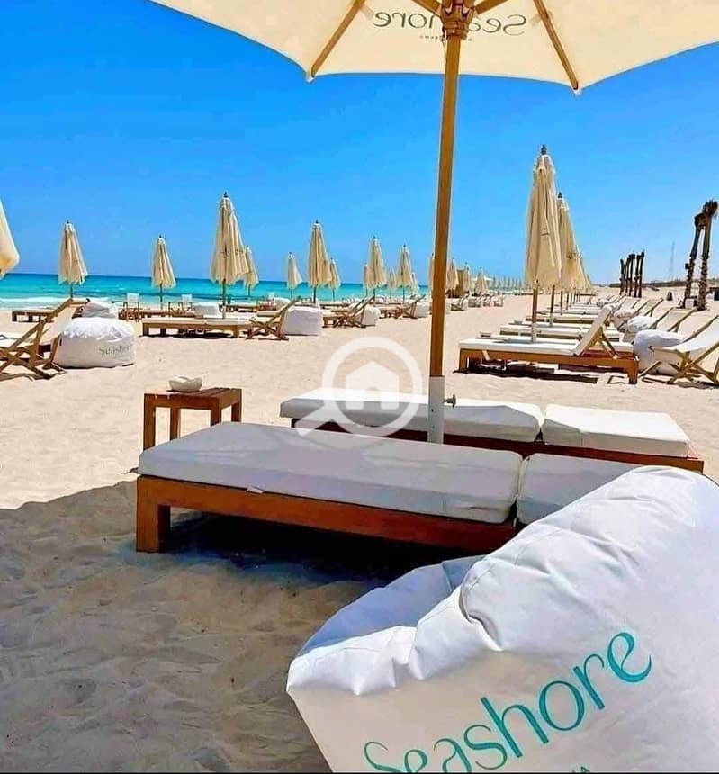 4 WhatsApp Image 2025-10-12 at 2.33. 40 PM. jpeg