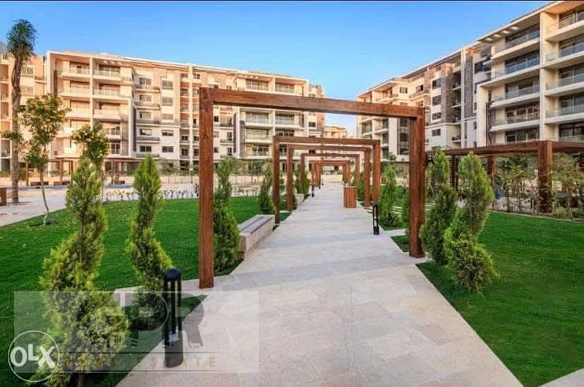 10 532908151_3743345962465058_3206111929592980571_n. jpg