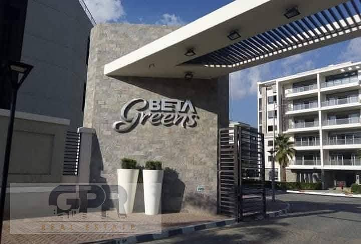 11 533384301_3743345919131729_2707742388851089413_n. jpg