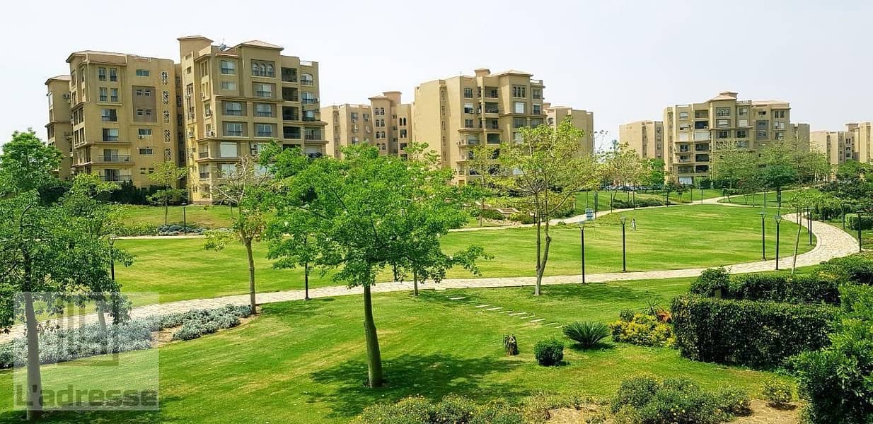 2 IMG-20251011-WA0038. jpg