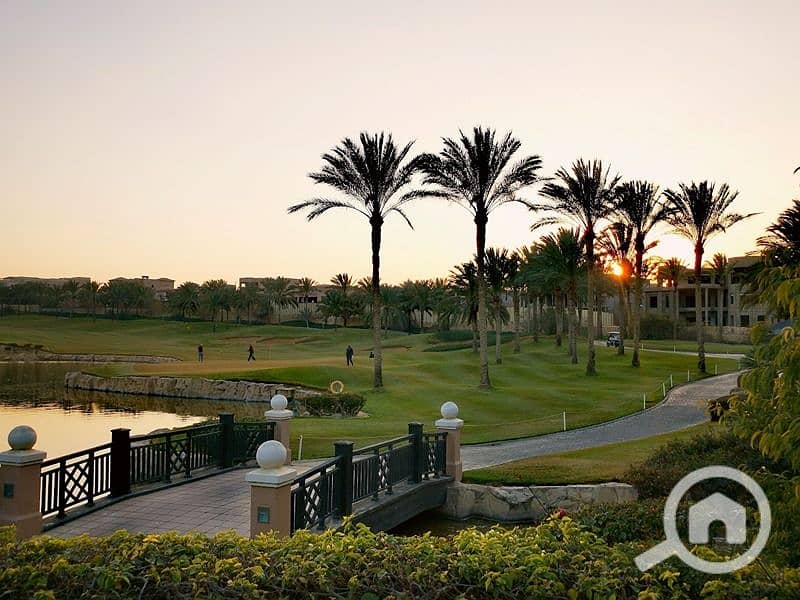7 قطامية-ديونز-1. jpg