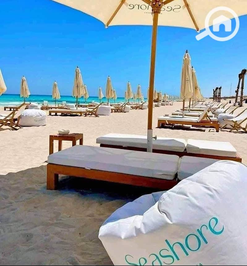 6 WhatsApp Image 2025-10-12 at 2.33. 40 PM. jpeg