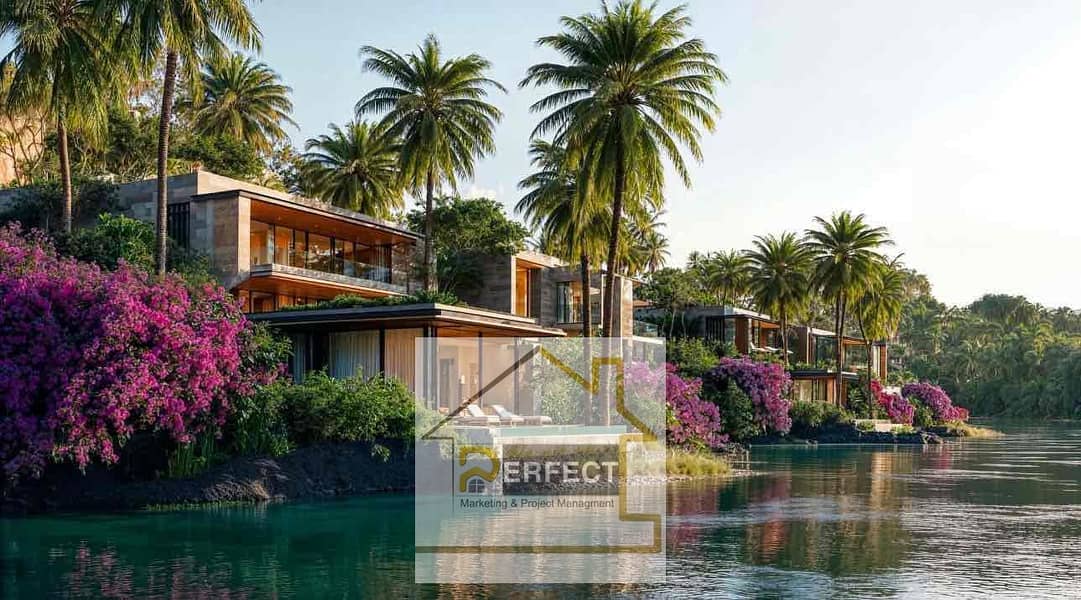 3 882e75cf-40cb-45ac-8844-130c7d450a9b. jpg