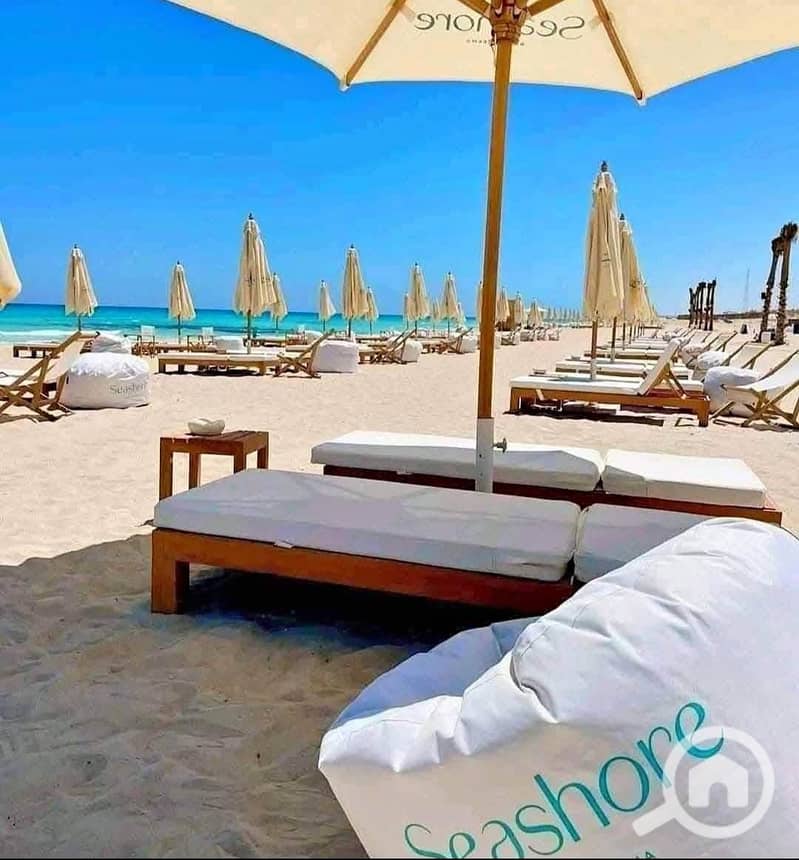 6 WhatsApp Image 2025-10-12 at 2.33. 40 PM. jpeg