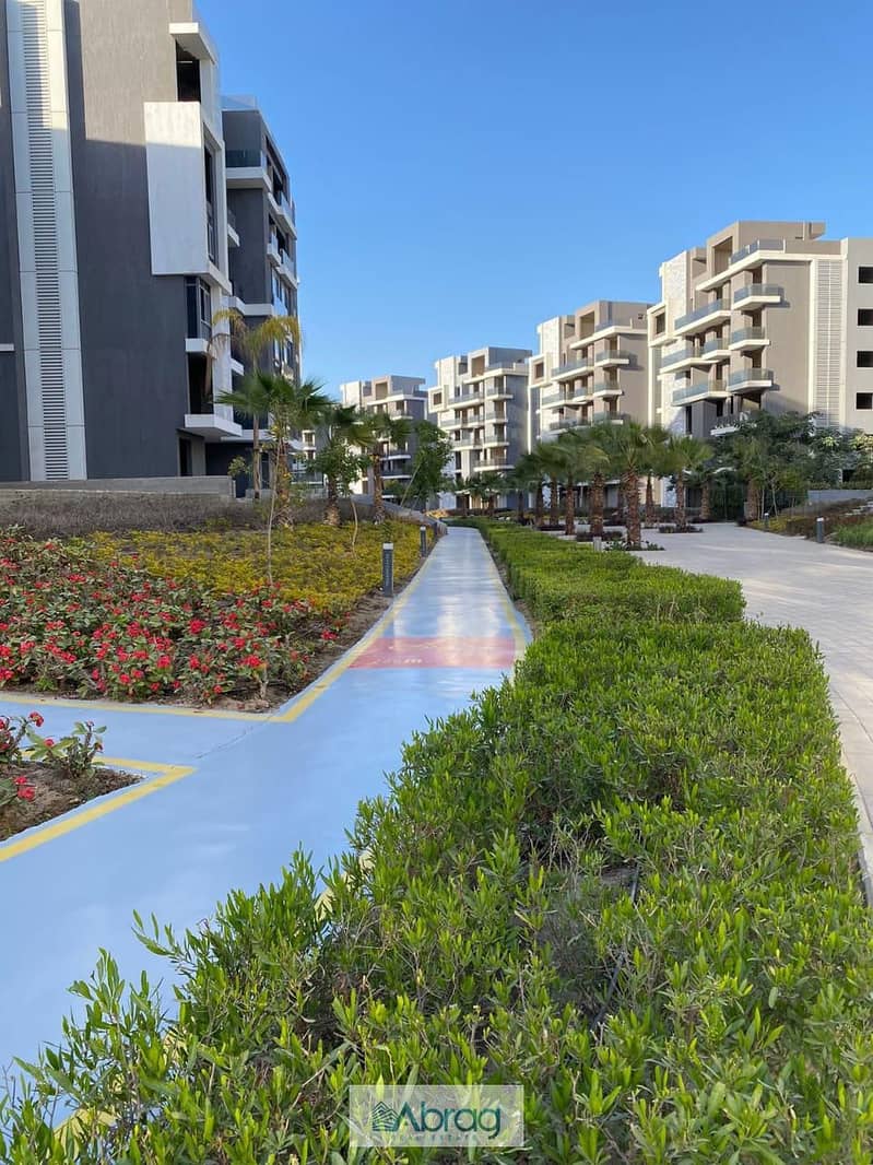 3 WhatsApp Image 2025-10-12 at 13.10. 47_07e20483. jpg