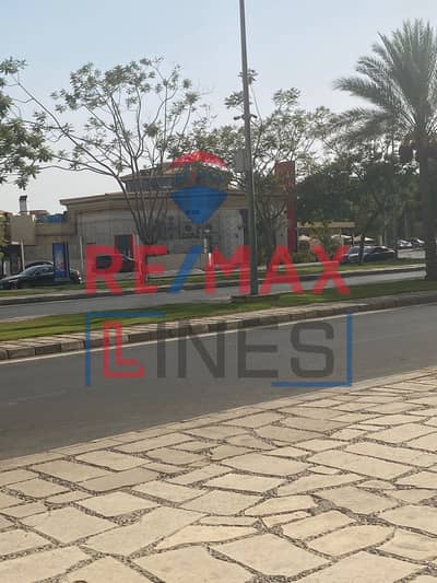 3 Bedroom Flat for Sale in Madinaty, Cairo - WhatsApp Image 2025-10-12 at 3.19. 24 PM. jpeg