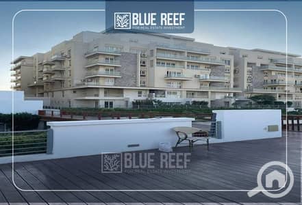 2 Bedroom Apartment for Sale in New Cairo, Cairo - eue. jpg