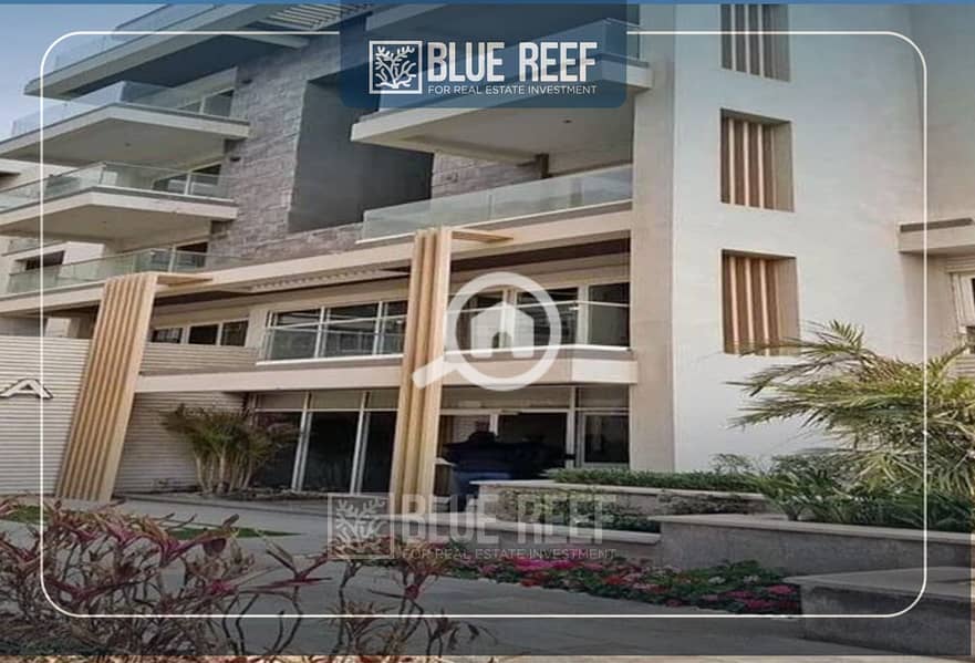 7 Bluereef  - Templete. psdsdfcv (1)-Recovered-cbxfn. jpg