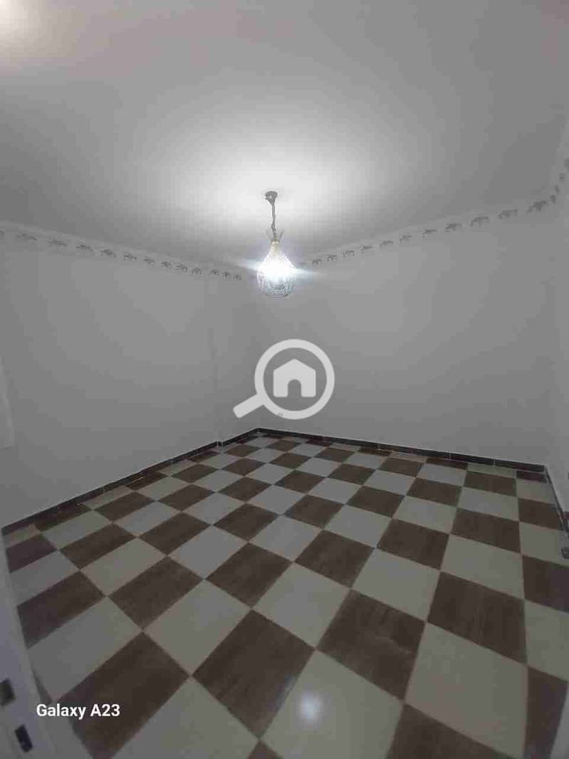 7 1000176390. jpg
