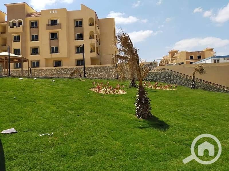 6 120917155_407604367307359_9199448766299861558_n. jpg