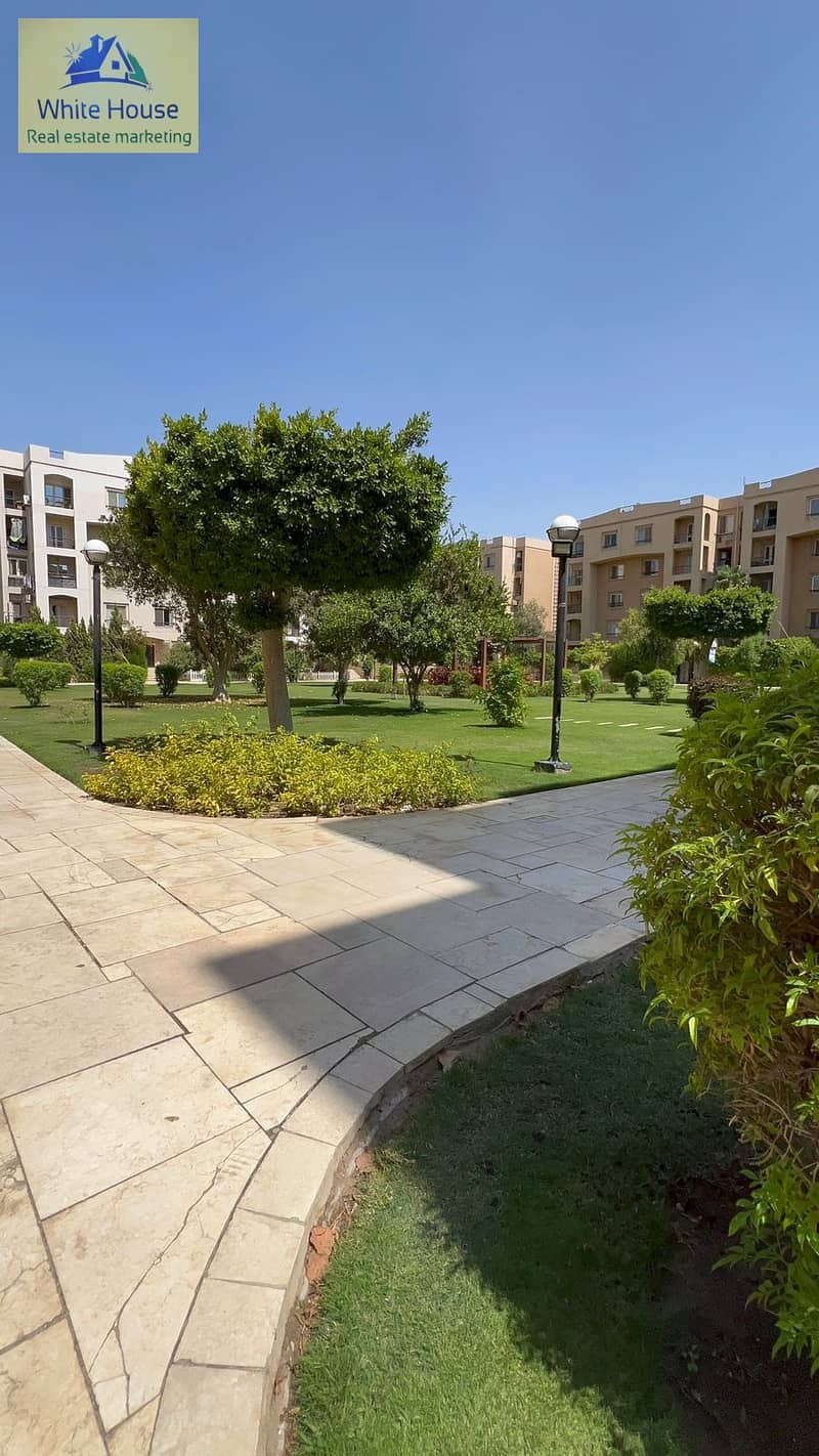 9 3637f7bf-573c-4acf-9387-553ce2ad85b7. jpg