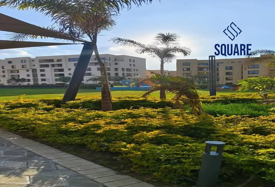 7 7256151-6d435o (1). jpg