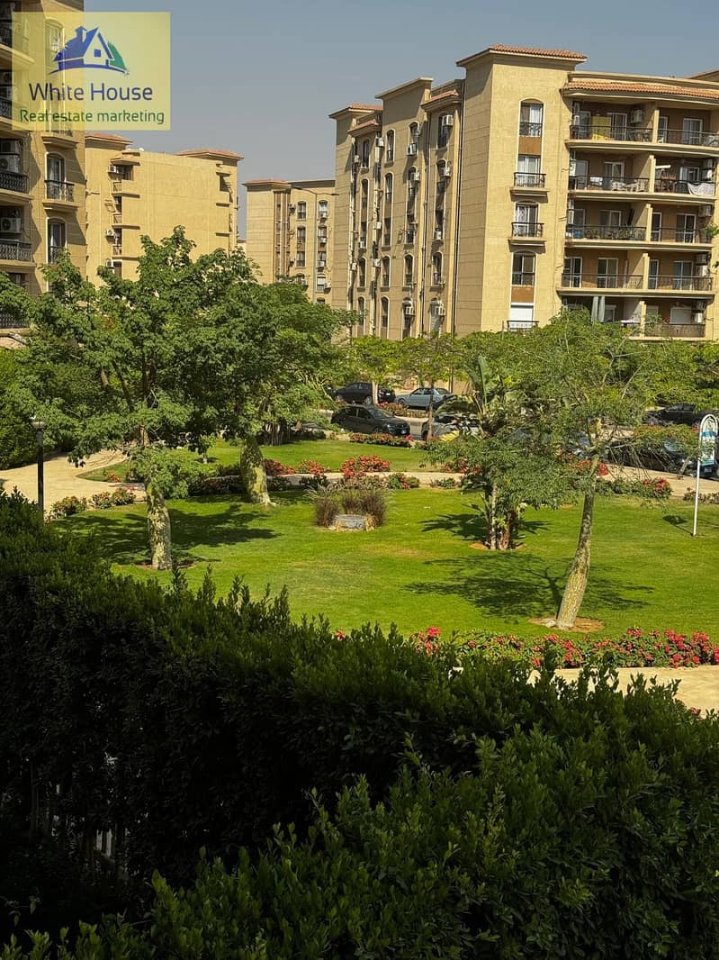 6 5d4065ed-7022-4295-946c-06cd348c14f5. jpg