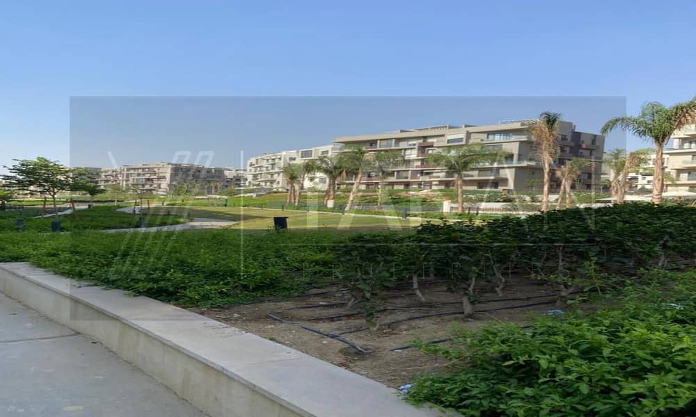 5 WhatsApp Image 2025-07-08 at 17.41. 57 (1). jpeg