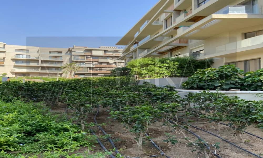 7 WhatsApp Image 2025-07-08 at 17.41. 58 (1). jpeg