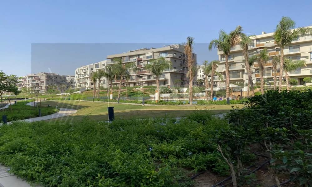 8 WhatsApp Image 2025-07-08 at 17.41. 58. jpeg